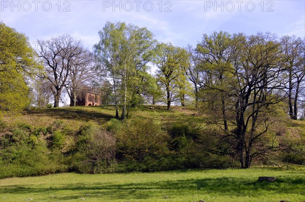 Court arbour