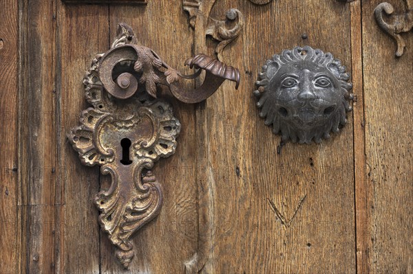 Entrance gate with door handle and lock