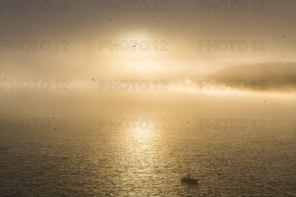 Zodiac in moody backlight before Skala Rubini or Rubini rock