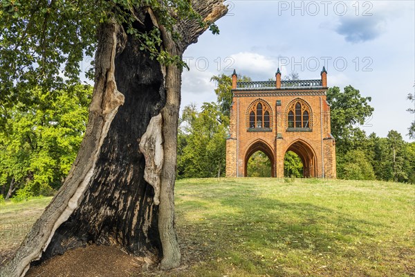 Court arbour