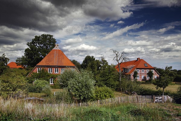 Hall houses in the marshland village of Konau