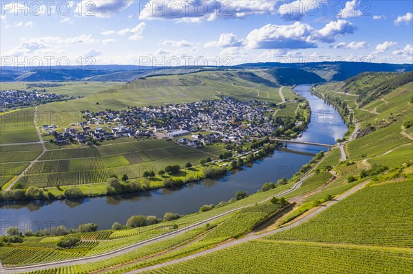 The Moselle at Trittenheim