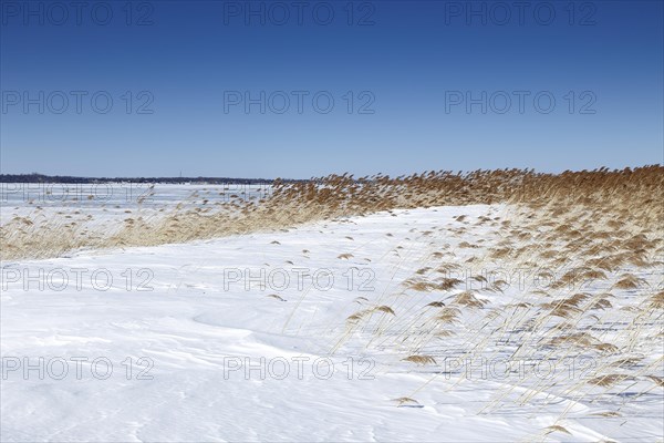 Winter landscape