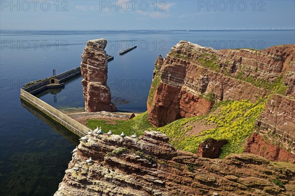 Red sandstone rocks in front of the Lange Anna and the North Sea