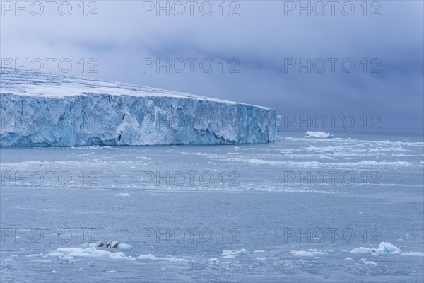 Very huge glacier on Mc Clintok or Klintok Island