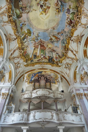 Organ gallery and ceiling frescoes