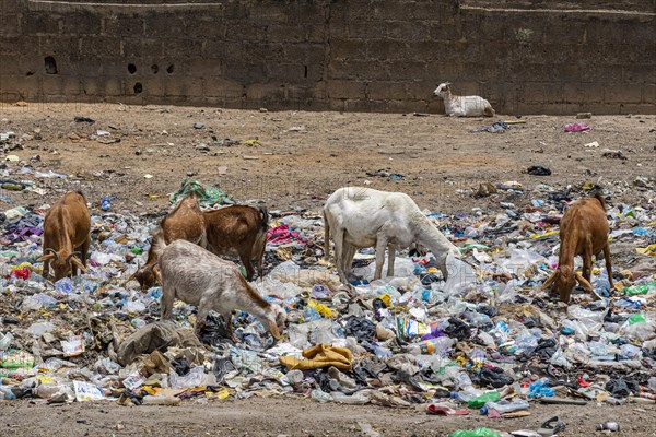 Rubbish on the streets of Bauchi