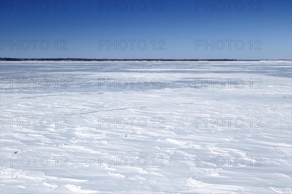 Winter landscape