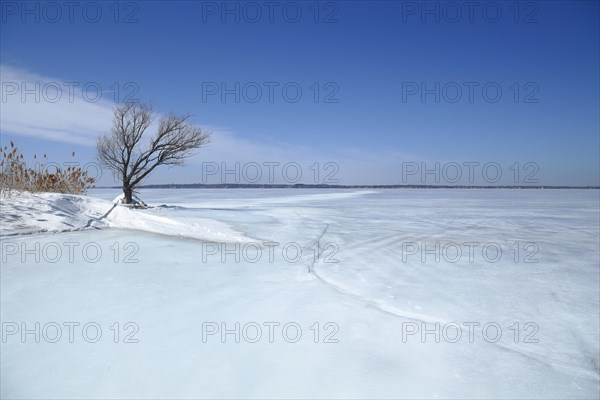 Winter landscape