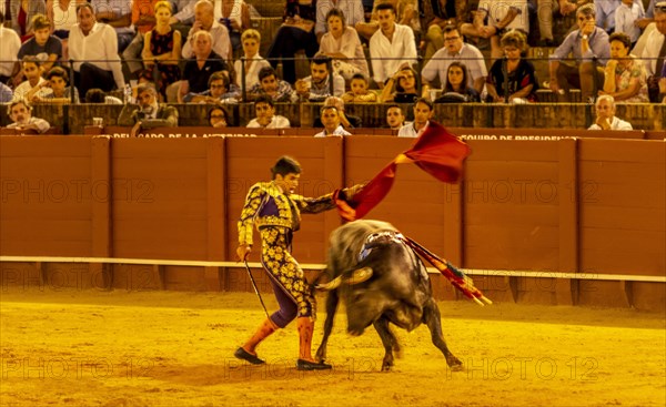 Matador with muleta and espada with running bull