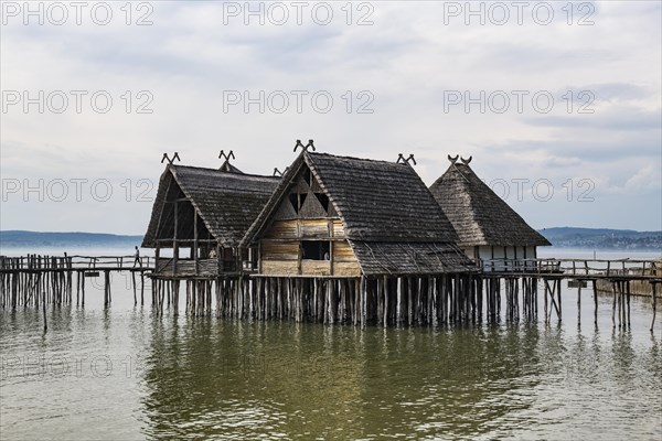 Unesco world heritage site the archeological open-air museum Stilt houses