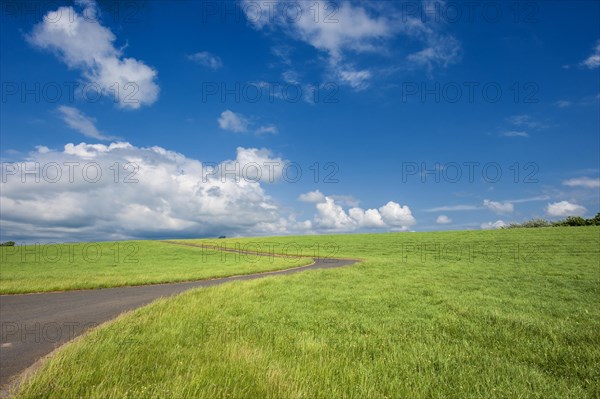 Paved bicycle path along the dike at the Wurster North Sea coast between Dorum-Neufeld and Wremen