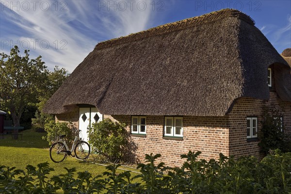 Thatched roof house