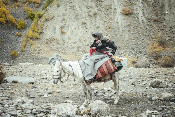 A boy with his little brother on a white horse