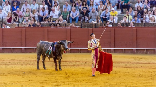 Matador with muleta and espada standing in front of bull
