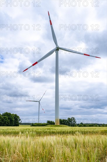 Wind turbines in Westerholz