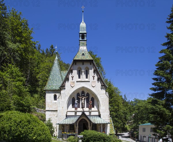 Holy Family Catholic Church