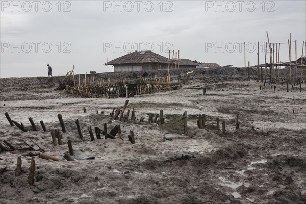 Remains of piles from pile dwellings washed away during storm surge