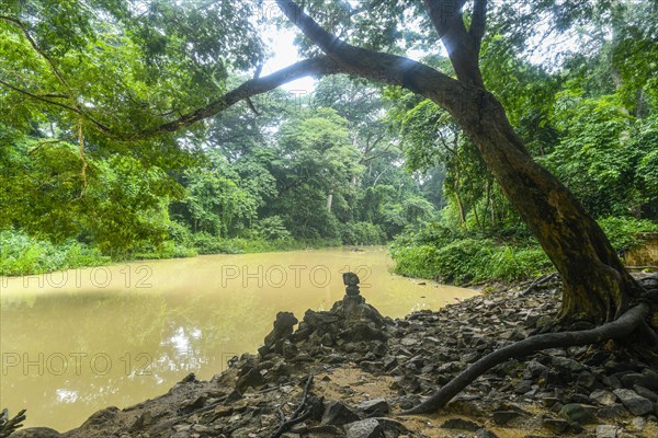 Voodoo scultpures in the Unesco site Osun-Osogbo Sacred Grove