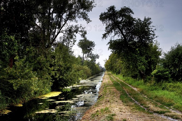 View from the Ohre bridge