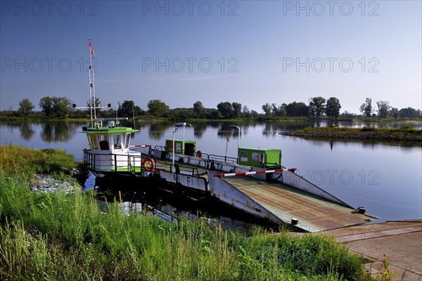 Elbe Ferry