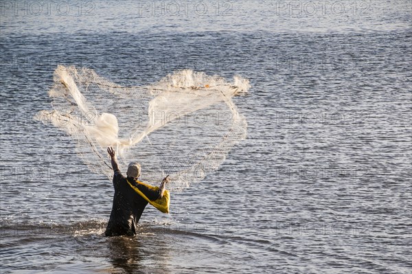 Man netfishing in the harbour of Apia