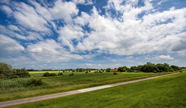 Inland behind the dike on the Wurster North Sea coast between Dorum-Neufeld and Wremen