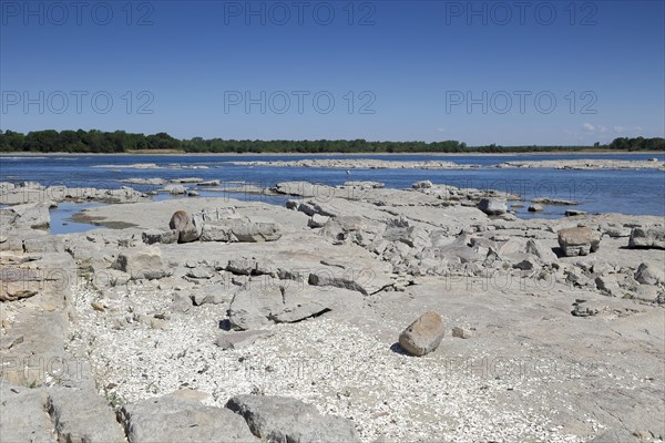 River at low level