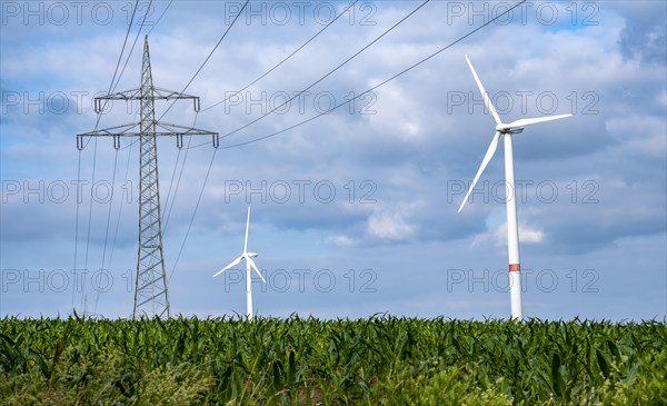 Wind turbines and power pylons at the Rundlingsdorf Gistenbeck