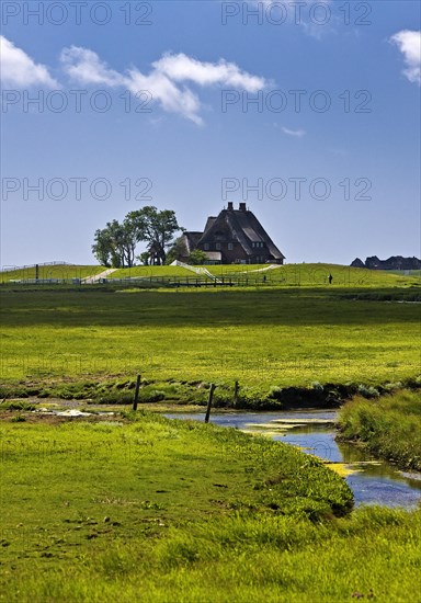 The Kirchwarft with marshland and drainage ditches