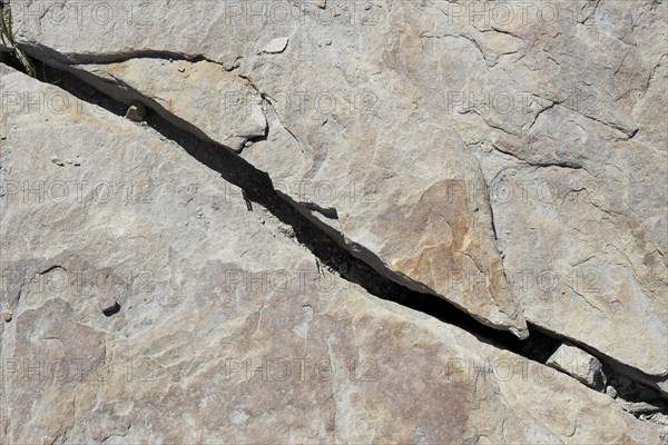 Stone pattern in a dry riverbed