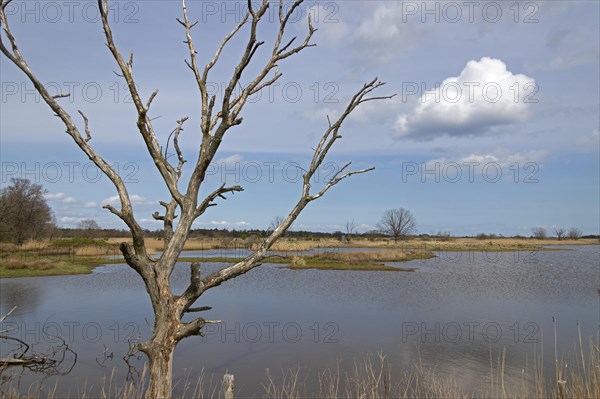 Controlled waterlogging