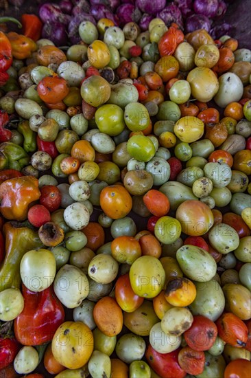 Peppers for sale