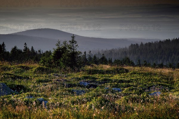 View of the Harz Mountains from the top of the Brocken