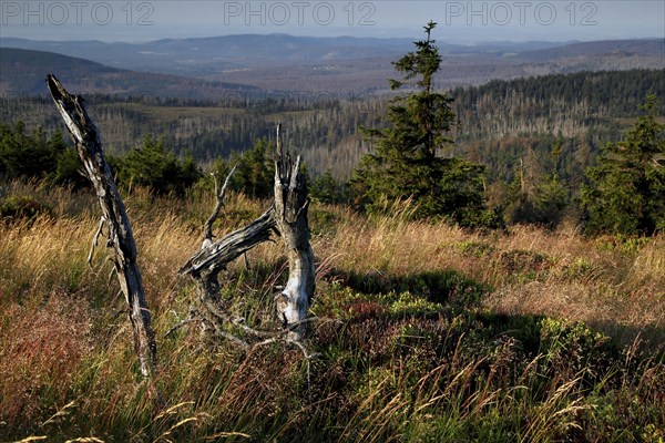 View of the Harz Mountains from the top of the Brocken