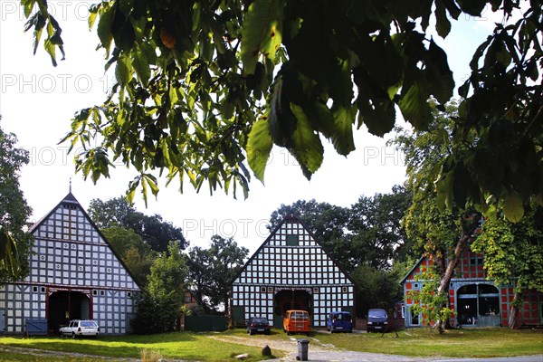 Half-timbered buildings