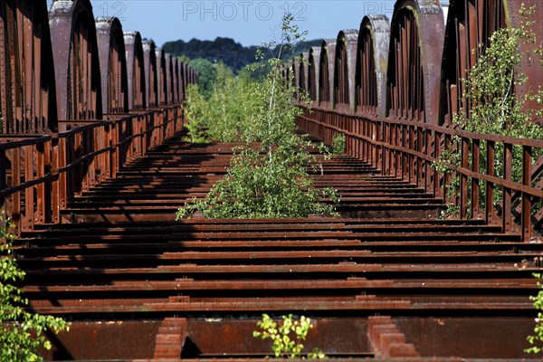 Destroyed railway bridge over the Elbe