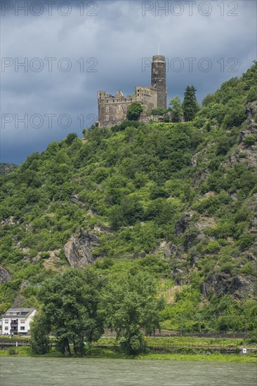 Castle Maus overlooking the Rhine river