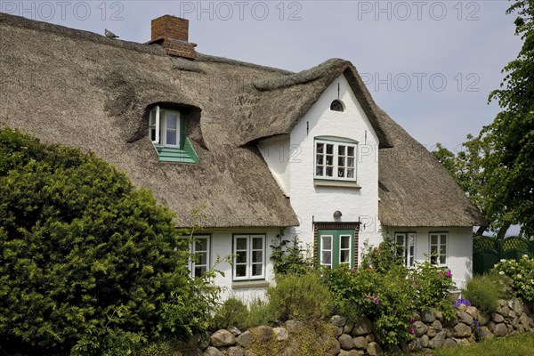 Thatched roof house