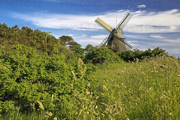 Landscape with windmill of the construction type Kellerhollaender