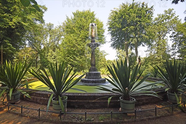 Bowl Fountain