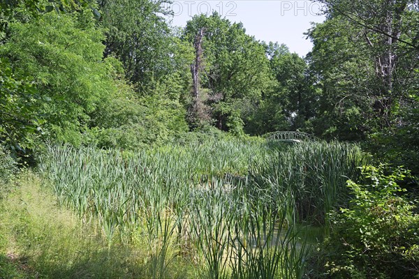 Typical landscape designed by Peter Josef Lenne