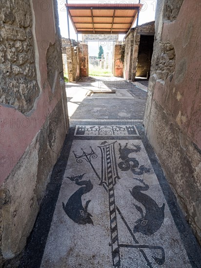 Ancient mosaic