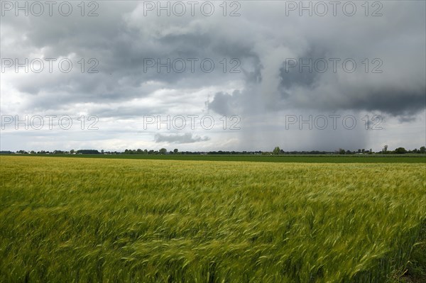 Storm clouds over farmland