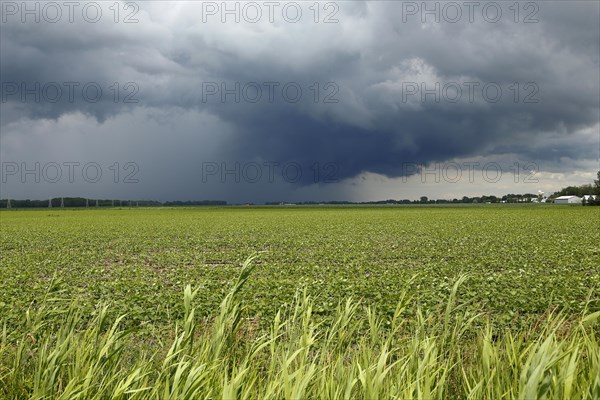 Storm clouds over farmland