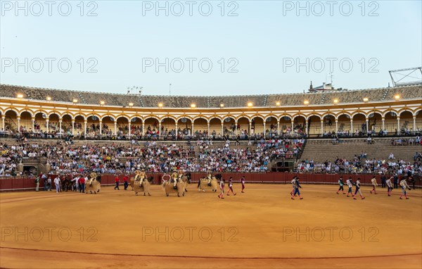 Entry of the toreros into the arena