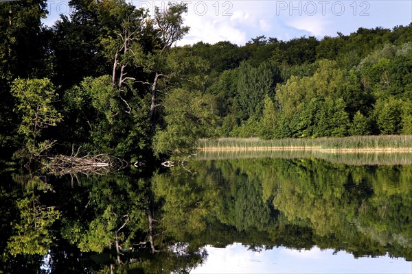 Natural landscape at the Schaalsee