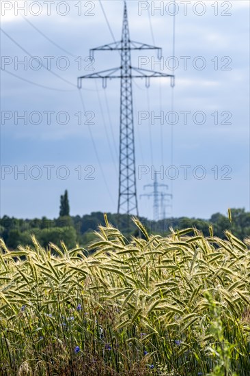 Wind turbines and power pylons at the Rundlingsdorf Gistenbeck