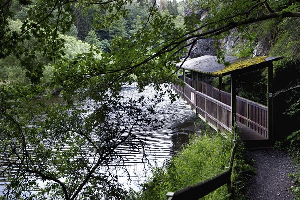 Hanging footbridge over river