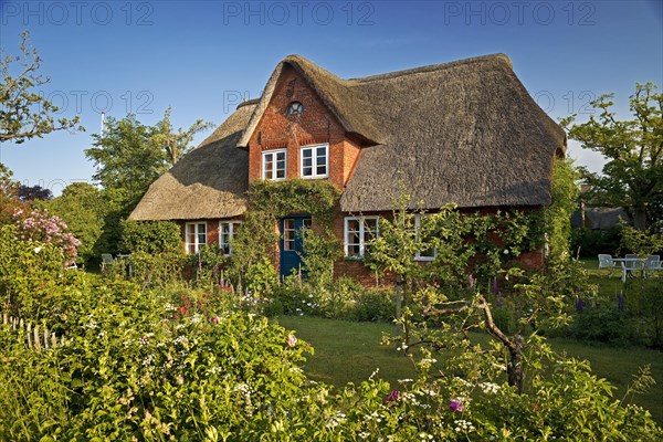 Thatched roof house